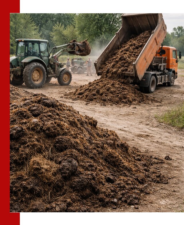 Доставка навоза самосвалами в Арсеньеве для сельхозпотребностей